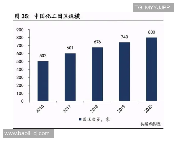 武汉篮球队反击之路：从困境到崛起的全景解析与未来展望